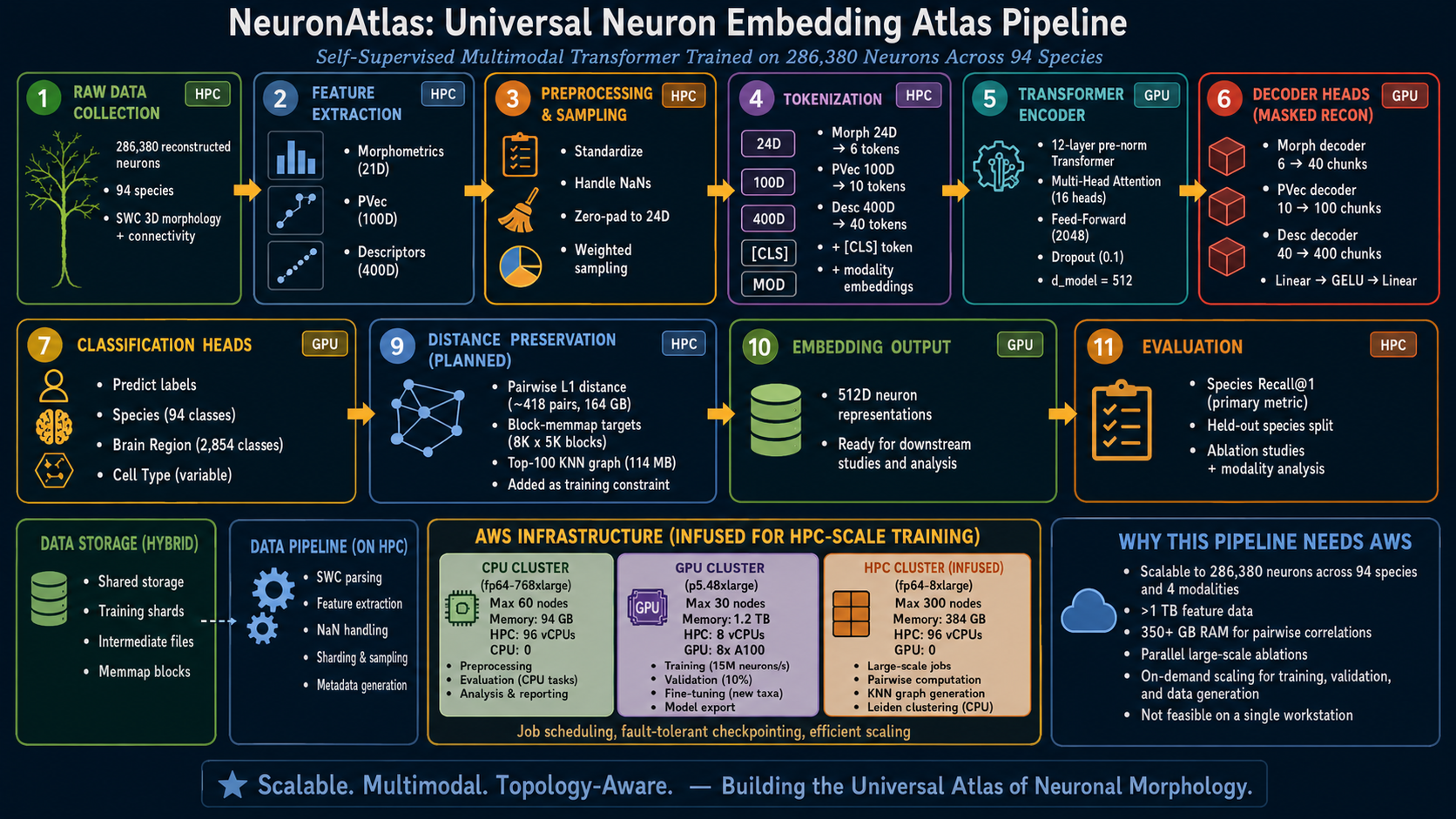 NeuronAtlas showcase success story